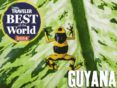 NatGeoFrogLogo