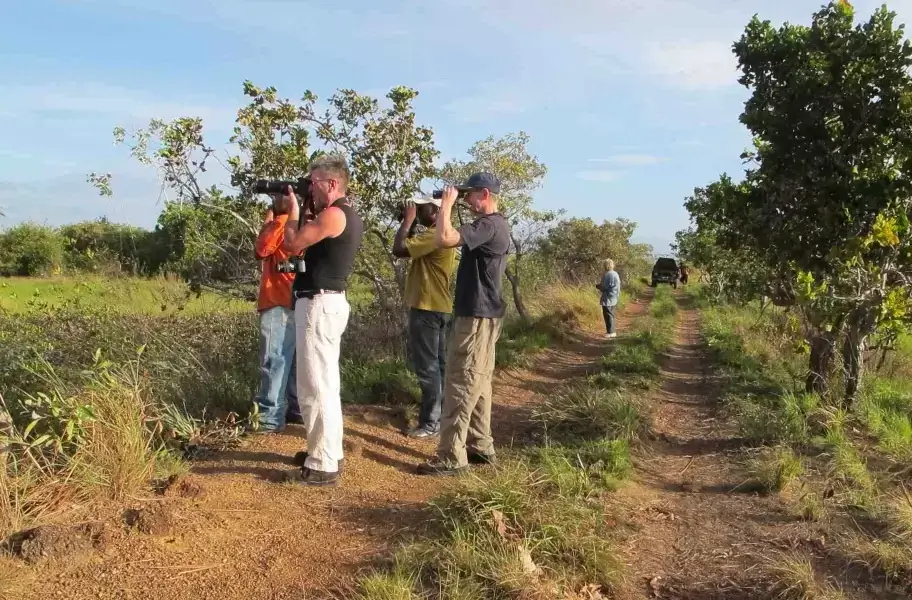 guyana birding on a budget tour