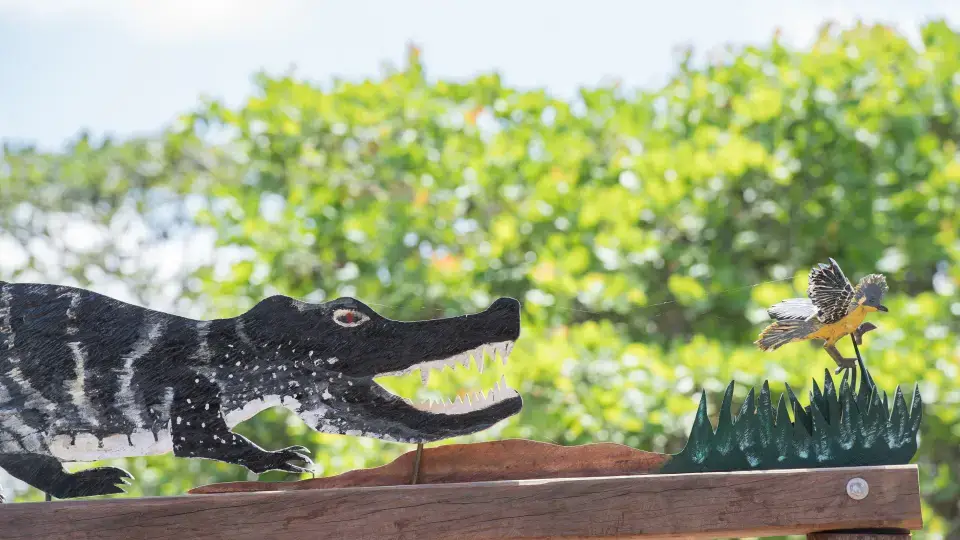 Caiman-HOuse-7