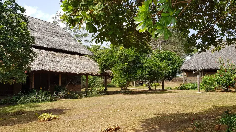 Caiman-HOuse-New-5