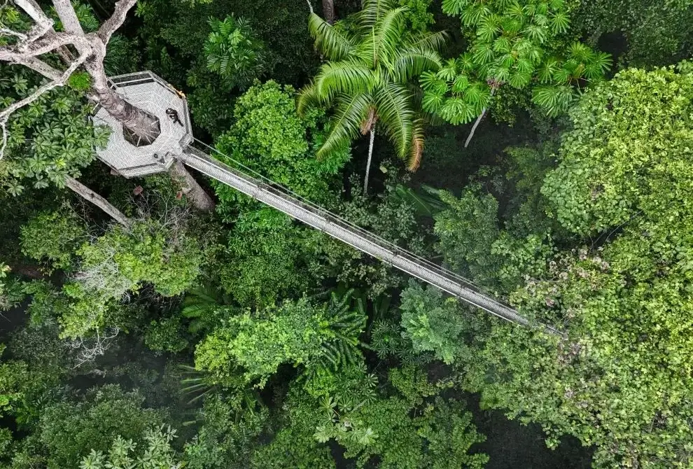 Ecopsychology in the Wild: Discovering Guyana’s Healing Power of Nature