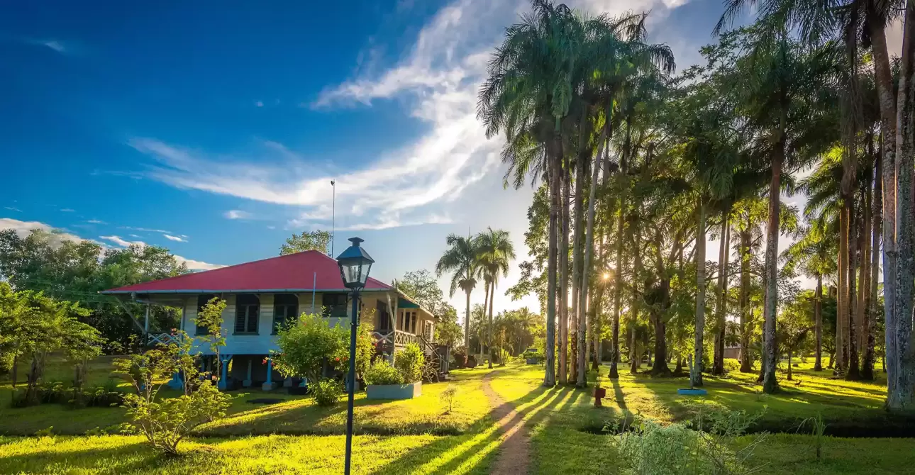 Wild Coast Tour: Guyana, Suriname & French Guiana– 2027