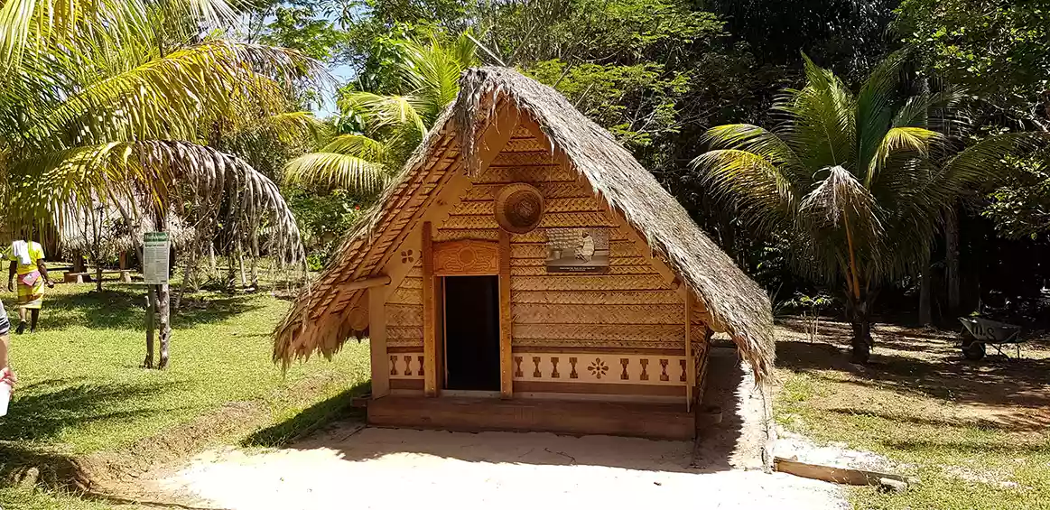 Wild Coast Tour: Guyana, Suriname & French Guiana– 2026